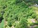 View of lush green property featuring lake access and wooded landscape at 4585 Sunrise Beach Rd, Catawba, NC 28609