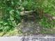 Tree lined driveway leading to the home, providing shade and a natural entrance at 4585 Sunrise Beach Rd, Catawba, NC 28609