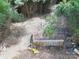 Picture showing lot features surrounded by bamboo, offering unique opportunities at 4585 Sunrise Beach Rd, Catawba, NC 28609