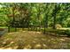 Expansive backyard with mature trees offers a serene and private outdoor space for relaxation and entertainment at 6510 Sharon Hills Rd, Charlotte, NC 28210