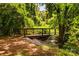 Scenic wooden bridge over a creek surrounded by lush greenery and mature trees providing privacy at 6510 Sharon Hills Rd, Charlotte, NC 28210