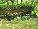 Tranquil backyard creek surrounded by lush greenery and mature trees, offering a serene natural setting at 8524 Quarters Ln, Mint Hill, NC 28227