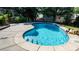 Private pool and patio in a backyard setting, perfect for entertaining at 12601 Guardhouse Ct, Charlotte, NC 28262