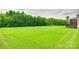 Spacious grassy backyard offers ample room for outdoor activities and landscaping possibilities at 308 Hollister Estates Dr, Waxhaw, NC 28173