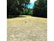 A wide shot of the front yard and surrounding trees, with ample room for outside activities at 3114 Ansonville Rd, Marshville, NC 28103