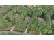 Expansive aerial view showcases a neighborhood with mature tree coverage and well maintained landscaping at 4877 River Hills Dr, Denver, NC 28037