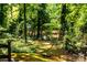 Shady backyard with lush greenery, mature trees, and view of the pond through the trees at 6516 Sharon Hills Rd, Charlotte, NC 28210