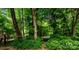 Secluded backyard area with mature trees, lush greenery, and a charming rope swing at 6516 Sharon Hills Rd, Charlotte, NC 28210