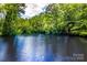 Scenic view of a serene pond surrounded by lush green trees at 6516 Sharon Hills Rd, Charlotte, NC 28210