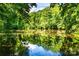 Scenic pond surrounded by lush greenery, reflecting sky and trees at 6516 Sharon Hills Rd, Charlotte, NC 28210