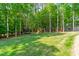 Large backyard features lush green grass, mature trees, trampoline, and play set at 123 Archbell Point Ln, Mooresville, NC 28117