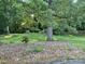 Large backyard view with a mature shade tree and lush green lawn surrounded by dense woods at 224 Locust Ave, Locust, NC 28097