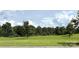 Expansive backyard with lush green grass and mature trees, offering a serene outdoor space at 31470 Royal Tern Ln, Indian Land, SC 29707