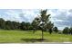 Scenic backyard with a mix of open lawn and tree coverage, ideal for outdoor activities at 31470 Royal Tern Ln, Indian Land, SC 29707