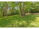 Lush backyard featuring mature trees and well-maintained lawn at 4025 Cherrybrook Dr, Mint Hill, NC 28227