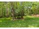 Spacious backyard featuring mature trees, lush green grass, and tranquil surroundings at 4025 Cherrybrook Dr, Mint Hill, NC 28227