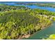 Expansive aerial shot showcasing the lake and the canopy of lush trees at 4095 Kingfisher Dr, York, SC 29745