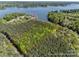 Aerial view of vacant land with lake access, surrounded by lush green trees and beautiful waterfront views at 4095 Kingfisher Dr, York, SC 29745