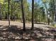Expansive wooded lot featuring mature trees and natural undergrowth, ready for development at 4095 Kingfisher Dr, York, SC 29745