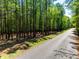 Scenic road leading to a secluded wooded lot, offering privacy and a peaceful setting at 4095 Kingfisher Dr, York, SC 29745