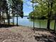 Serene water view of a lake framed by tall trees and foliage on a bright sunny day at 4095 Kingfisher Dr, York, SC 29745