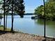 Picturesque view of the water with lush trees creating a sense of privacy at 4095 Kingfisher Dr, York, SC 29745