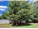 Private backyard features a playset, a small shed and mature trees at 13241 Woodland Farm Dr, Charlotte, NC 28215