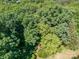 Aerial view of lush green trees with the ground partially visible at 290 Glenmere Ln, Mooresville, NC 28115