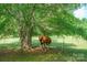 A beautiful brown horse stands majestically under a shady tree, an animal-lover's idyllic scene at 290 Glenmere Ln, Mooresville, NC 28115