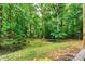 Large backyard with playset, trampoline and sandbox surrounded by lush trees at 3690 Birchwood Ln, Denver, NC 28037