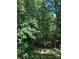 Lush backyard with mature trees, offering a serene and private outdoor space at 3690 Birchwood Ln, Denver, NC 28037