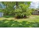 Lush back yard featuring mature trees and a partially shaded lawn at 3918 Rea Rd, Charlotte, NC 28226