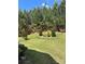 Lush green backyard with mature trees, landscaping, and ample space for recreation at 10039 St Kitts Landing Ln, Charlotte, NC 28278