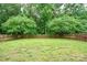 Large, lush green backyard with a wooden fence, offering privacy and space at 13032 Windy Lea Ln, Huntersville, NC 28078