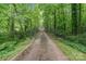 Long, gated driveway winding through lush greenery, offering privacy and a grand entrance at 1513 Shelby Hwy, Cherryville, NC 28021