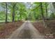 Long driveway through lush trees creates a sense of privacy and seclusion at 1513 Shelby Hwy, Cherryville, NC 28021