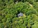 Stunning aerial view of the property nestled among lush green trees, offering privacy and a serene natural setting at 300 Hugh Crocker Rd, Matthews, NC 28104