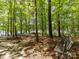 Scenic walking path through a wooded area with a bench for relaxing at 3825 Mountain Cove Dr, Charlotte, NC 28216