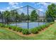 Community basketball court with well-maintained blue surface, surrounded by lush landscaping at 7318 Agnew Dr, Charlotte, NC 28278
