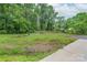 Spacious backyard featuring a fire pit, seating area and greenery at 857 Hills Rd, Belmont, NC 28012
