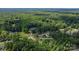 A high angle aerial view showcases the tree-lined property and surrounding neighborhood at 1154 Stringfellow Rd, Chester, SC 29706