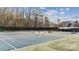 Community tennis courts offer residents a place for exercise and competition at 129 Willow Tree Ln, Mount Holly, NC 28120