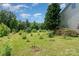 Lush green backyard with mature trees and vegetation, offering privacy and natural beauty at 1687 Windy Hill Ln, Great Falls, SC 29055