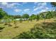 Wide-open lot with multiple cultivated rows and greenhouse infrastructure for a vibrant agricultural lifestyle at 1687 Windy Hill Ln, Great Falls, SC 29055