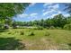 Open lot featuring thriving greenery, complemented by greenhouse structures and mature trees at 1687 Windy Hill Ln, Great Falls, SC 29055