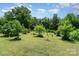 Well-maintained lot features grassy expanse with lush trees, suitable for gardening, farming, or recreational use at 1687 Windy Hill Ln, Great Falls, SC 29055