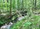 A picturesque creek winding through a lush, green wooded area, offering a peaceful natural setting at 341 Austin Dr, York, SC 29745