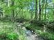 A serene creek flowing through a forest, providing a tranquil natural view and outdoor relaxation at 341 Austin Dr, York, SC 29745