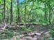 Tranquil wooded area featuring fallen logs and lush greenery, creating a peaceful setting for nature walks at 341 Austin Dr, York, SC 29745