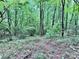 A secluded wooded area, full of trees, offers a sense of privacy and natural beauty for outdoor adventures at 341 Austin Dr, York, SC 29745